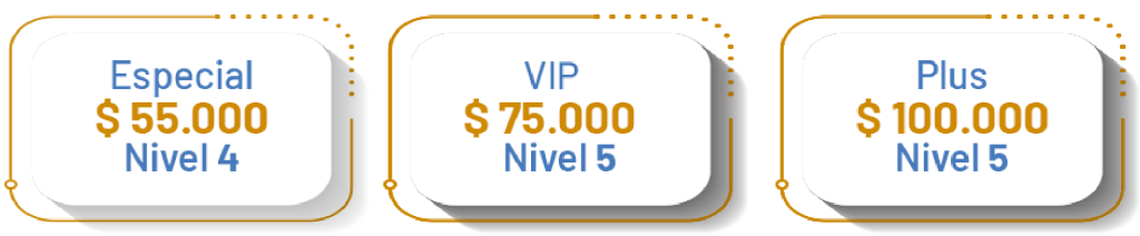 vip-final-1024x212